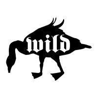 Wild Goose Creative logo - Similar company to Wild Goose Creative