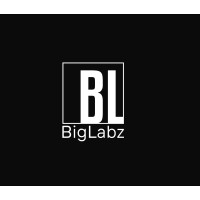 BigLabz logo - Similar company to Swaguz
