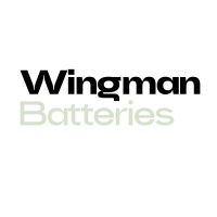 Wingzman logo - Similar company to Dtu Connect