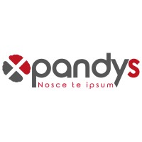 XPANDYS SAS logo - Similar company to Spad-Ci