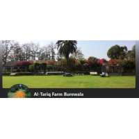 Al Tariq Fruit Farms logo - Similar company to Farmer Bros
