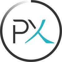 PhyziX logo - Similar company to It Global Services