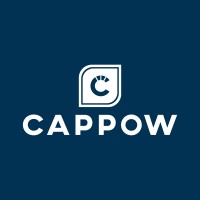 Cappow logo - Similar company to Estech A/S