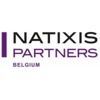 Natixis Partners Belgium logo - Similar company to Lds Advisory