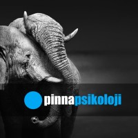 Pinna Psikoloji logo - Similar company to Inventa Psikoloji