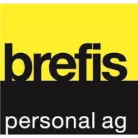 brefis personal ag logo - Similar company to Icm Personal Ag