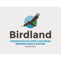 Birdland | Sw Portugal