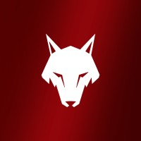 Wolf Consórcios e Investimentos logo - Similar company to Grupo Wolf360