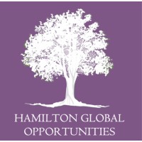 Hamilton Global Opportunities logo - Similar company to Millemont