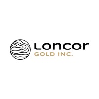 Loncor Gold Inc (TSX: LN) (OTCQX:LONCF) (FSE:LO5) logo - Similar company to Ptx Metals Inc.