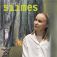 AistiSiimes logo - Similar company to Logi Prefab