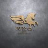 Burraq Enterprises logo - Similar company to Burraq Inc