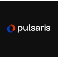 Pulsaris Brasil logo - Similar company to Big Brothers Big Sisters Of New Hampshire