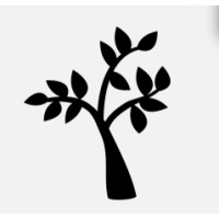 Branchtime Technologies