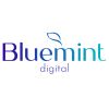 bluemint digital logo - Similar company to Bluemint