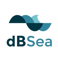 dBSea logo - Similar company to Irwin Carr