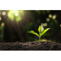 Cresentia logo - Similar company to Voltio