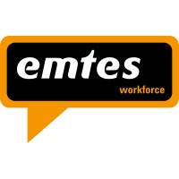 Emtes Workforce logo - Similar company to Re-Flex Yourself
