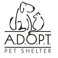 A.D.O.P.T. Pet Shelter logo - Similar company to Safe Humane Chicago