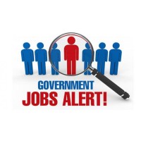 Jobs & Tenders | Finance Professionals logo - Similar company to Graphix Infotech