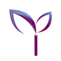 Daravine Global Technology