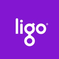 Ligo.pe logo - Similar company to Apurata