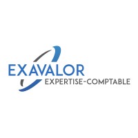 EXAVALOR logo - Similar company to Phanine