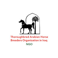 The Arabian Horse Breeders Organization in Iraq logo - Similar company to Al-Wakeel Group