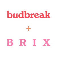 Budbreak + Brix logo - Similar company to Berliner Ideenlabor Gmbh