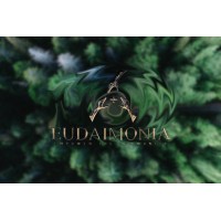 Eudaimonia logo - Similar company to Eudaimonia Group