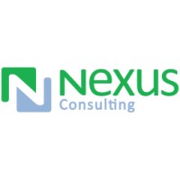 nexus consulting logo - Similar company to Cemcon Engineering Services