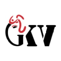 GKV Software Solutions PVT LTD logo - Similar company to Dtechex Technologies