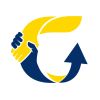 Golden logo - Similar company to Infinite Software