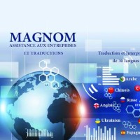 MAGNOM ASSISTANCE AUX ENTREPRISES - TRADUCTION & FORMATIONS logo - Similar company to Worksapexpo