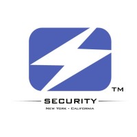 Silent Storm Security, LLC logo - Similar company to 403 Labs