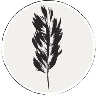 Envol Agency - Design Graphique & Direction artisitique logo - Similar company to Adeux Studio