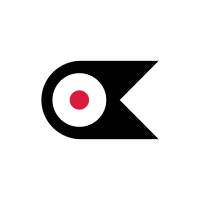 RAVEN AGENCIA logo - Similar company to Abanico Estudio