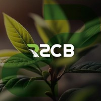 R2CB Construtora Brasília logo - Similar company to Atos Marketing E Produtora