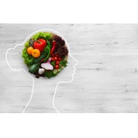 Food For Thought Solutions LLC logo - Similar company to Stratexlead