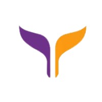 YANAIR Airlines 🇺🇦 logo - Similar company to Ops Avem Aero