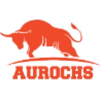 Aurochs Solutions logo - Similar company to I-Source Infosystems Pvt. Ltd.