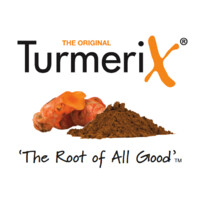 TurmeriX logo - Similar company to Maat