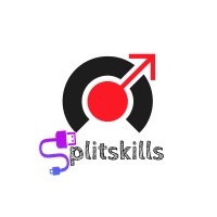 Splitskills Professionals Pvt Ltd logo - Similar company to Mybskool.Com