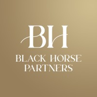 Black Horse Partners logo - Similar company to Jap