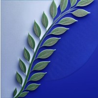 LumenCap Ventures logo - Similar company to Tezolutions