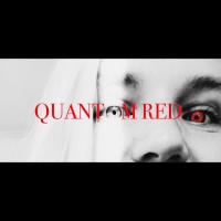 Quantom Red logo - Similar company to Quantomex