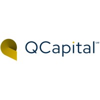 Q Capital Ltd. logo - Similar company to Blackgarden - Advisory | M&A | Investments