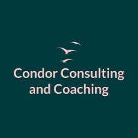 Condor Consulting and Coaching Ltd logo - Similar company to Condor Consulting Services
