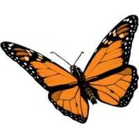 McMaster Interdisciplinary Minor in Sustainability logo - Similar company to Espervita Therapeutics