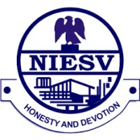 NIESV Lagos logo - Similar company to Triq Games